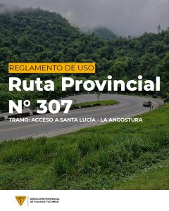 Reglamento de uso RPN° 307